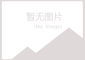 江津夏日化学有限公司